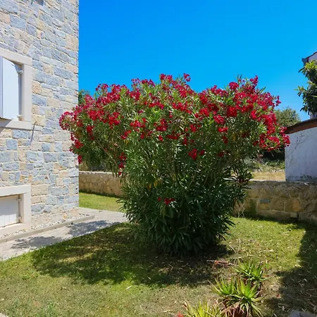 Family-friendly With Swimming Pool Biograd Na Moru, Biograd - 23754 Lejlighed Biograd Na Moru