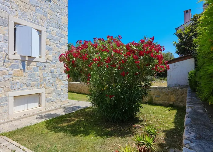 Family-friendly With Swimming Pool Biograd Na Moru, Biograd - 23754 شقة بيوغْغاد نا موغو